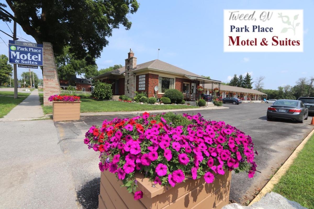Park Place Motel & Suites Tweed Dış mekan fotoğraf